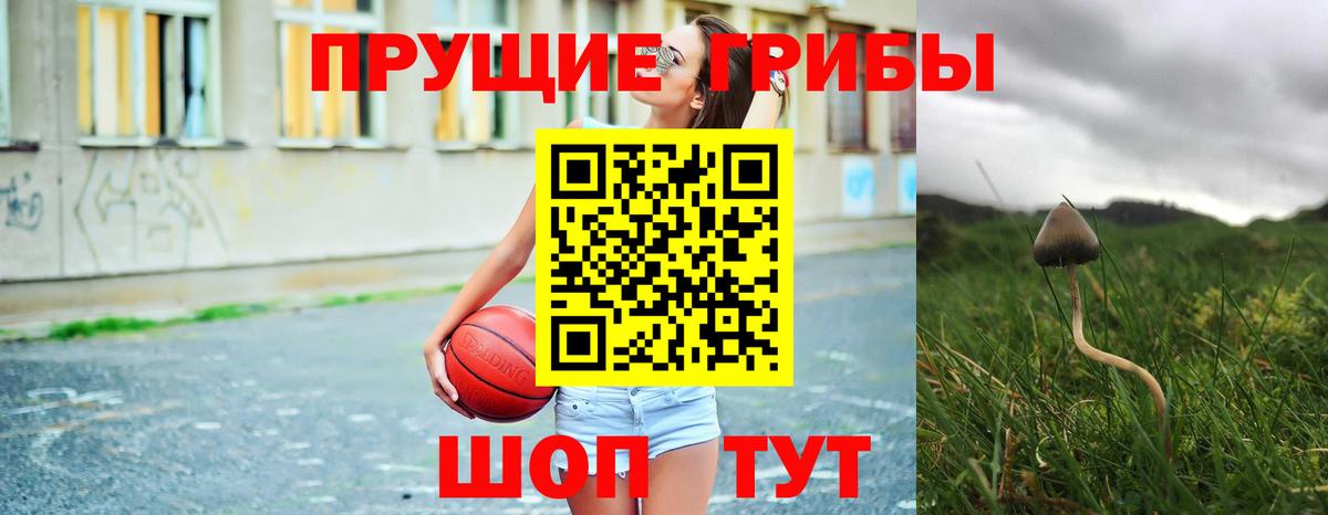 Псилоцибиновые грибы Psilocybe  Вход с VPN  Галлюциногенные грибы мухоморы  Коммунар 